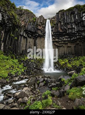 Cascade de Svartifoss entourée de colonnes de basalte noires en Islande Banque D'Images