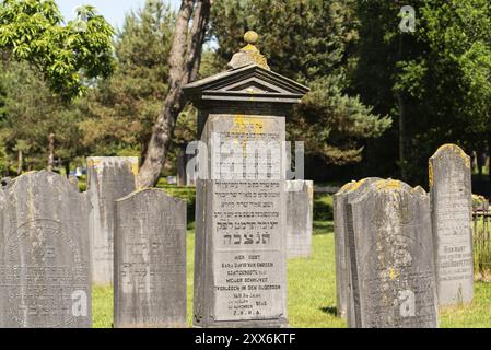 Den Helder, pays-Bas, juin 2022. Vieilles tombes juives délabrées au cimetière de Den Helder. Mise au point sélective Banque D'Images
