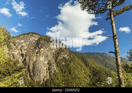 Vue du monastère de Taktshang sur la montagne à Paro Banque D'Images