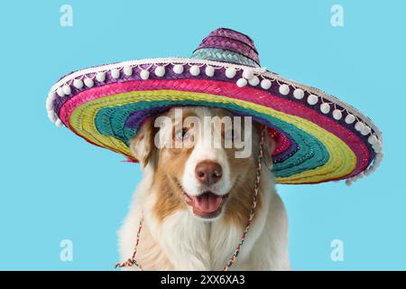 Chien berger australien mignon dans sombrero sur fond bleu Banque D'Images