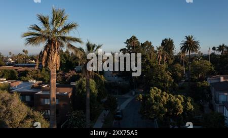 Vue encadrée de palmiers d'un quartier historique du centre-ville de Pasadena, Californie, États-Unis. Banque D'Images