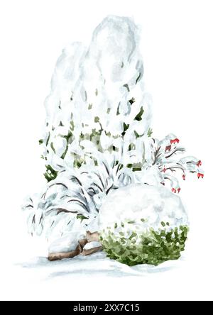 Arbres sous la neige dans le parc d'hiver, illustration d'aquarelle dessinée à la main isolé sur fond blanc Banque D'Images
