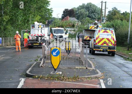 Hereford, Herefordshire, Royaume-Uni – vendredi 23 août 2024 – Météo britannique – des vents forts de la nuit de la tempête Lilian ont fait tomber un arbre de l’autre côté de la route à Aylestone Hill, Hereford – L’arbre est tombé sur plusieurs lignes électriques coupant l’alimentation des maisons et des entreprises voisines – photo prise à 09h15 alors que les équipes de déminage attendent que les travailleurs de l’électricité s’occupent des lignes électriques tendues - photo Steven May / Alamy Live News Banque D'Images