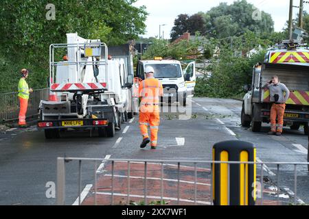 Hereford, Herefordshire, Royaume-Uni – vendredi 23 août 2024 – Météo britannique – des vents forts de la nuit de la tempête Lilian ont fait tomber un arbre de l’autre côté de la route à Aylestone Hill, Hereford – L’arbre est tombé sur plusieurs lignes électriques coupant l’alimentation des maisons et des entreprises voisines – photo prise à 09h15 alors que les équipes de déminage attendent que les travailleurs de l’électricité s’occupent des lignes électriques tendues - photo Steven May / Alamy Live News Banque D'Images