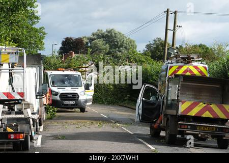 Hereford, Herefordshire, Royaume-Uni – vendredi 23 août 2024 – Météo britannique – des vents forts de la nuit de la tempête Lilian ont fait tomber un arbre de l’autre côté de la route à Aylestone Hill, Hereford – L’arbre est tombé sur plusieurs lignes électriques coupant l’alimentation des maisons et des entreprises voisines – photo prise à 09h15 alors que les équipes de déminage attendent que les travailleurs de l’électricité s’occupent des lignes électriques tendues - photo Steven May / Alamy Live News Banque D'Images