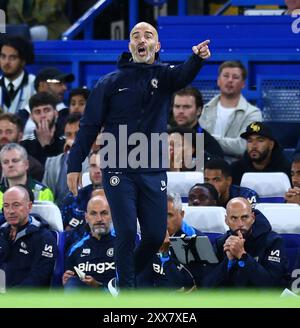 Enzo Maresca manager de Chelsea pendant le match de football de Chelsea et Servette, Europa Conference League, Play Off, 1st Leg, Stamford Bridge, Londres, Royaume-Uni. Crédit : Michael Zemanek Banque D'Images