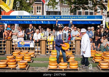 22 août 2024, GOUDA - marché au fromage de Gouda sur la place du marché. Sur le marché touristique du fromage, les agriculteurs et les commerçants négocient le prix du fromage via la «poignée de main» comme dans le passé, qui est ensuite pesé à de Waag de Gouda. ANP / Hollandse Hoogte / Tobias Kleuver pays-bas Out - belgique Out Banque D'Images