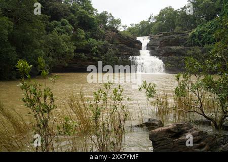 Les chutes de Pandav, nichées dans le parc national de Panna dans le district indien de Panna du Madhya Pradesh, sont une cascade sereine et pérenne alimentée par un affluent de t Banque D'Images