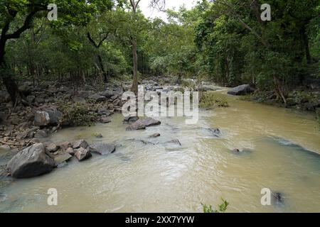 Les chutes de Pandav, nichées dans le parc national de Panna dans le district indien de Panna du Madhya Pradesh, sont une cascade sereine et pérenne alimentée par un affluent de t Banque D'Images