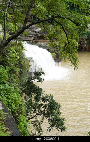 Les chutes de Pandav, nichées dans le parc national de Panna dans le district indien de Panna du Madhya Pradesh, sont une cascade sereine et pérenne alimentée par un affluent de t Banque D'Images