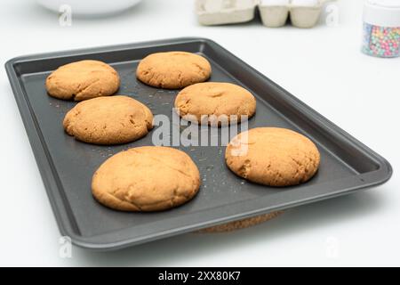 Biscuits fraîchement cuits refroidissant sur un plateau dans la cuisine moderne Banque D'Images