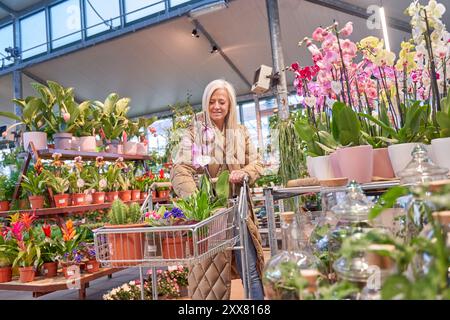 femme poussant un chariot dans un magasin d'usine ou une serre choisissant des fleurs Banque D'Images