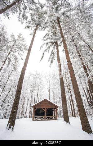 Cabane d'hiver du Vermont sous de grands arbres dans la tempête de neige Banque D'Images