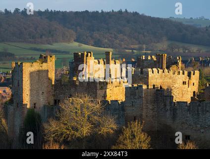 Lumière matinale sur le château de Ludlow, Shropshire. Banque D'Images