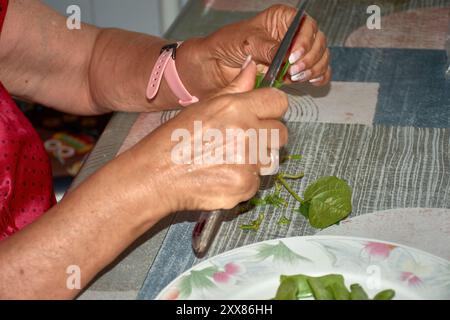 Les mains d'une femme âgée alors qu'elle tranche soigneusement les haricots verts avec un couteau, les préparant pour la cuisson. Les mains altérées mais habiles, marquées b Banque D'Images