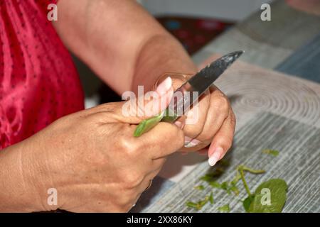 Les mains d'une femme âgée alors qu'elle tranche soigneusement les haricots verts avec un couteau, les préparant pour la cuisson. Les mains altérées mais habiles, marquées b Banque D'Images