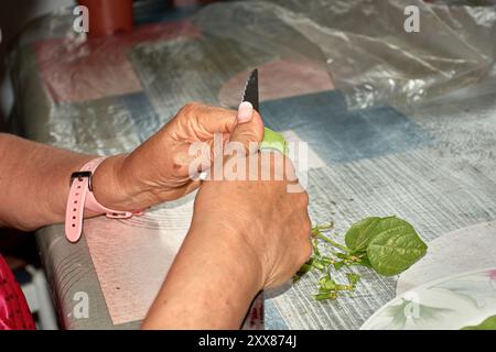 Les mains d'une femme âgée alors qu'elle tranche soigneusement les haricots verts avec un couteau, les préparant pour la cuisson. Les mains altérées mais habiles, marquées b Banque D'Images