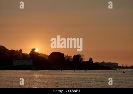 Coucher de soleil unique sur la plage de Ladeira, où le soleil se couche derrière un arbre solitaire, créant une silhouette saisissante dans le ciel du soir Banque D'Images