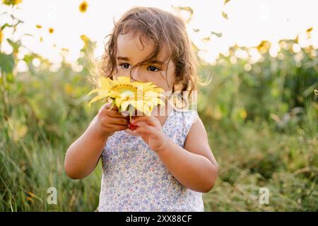 Gros plan portrait de petite fille mignonne tenant la fleur de tournesol jaune pleine fleur dans sa main dans un champ dans la campagne au coucher du soleil avec une lumière chaude. co Banque D'Images