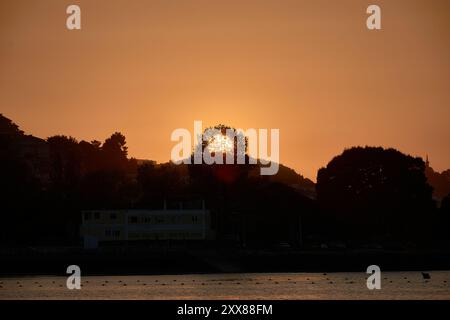 Coucher de soleil unique sur la plage de Ladeira, où le soleil se couche derrière un arbre solitaire, créant une silhouette saisissante dans le ciel du soir Banque D'Images