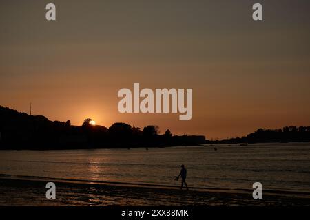 Coucher de soleil unique sur la plage de Ladeira, où le soleil se couche derrière un arbre solitaire, créant une silhouette saisissante dans le ciel du soir Banque D'Images