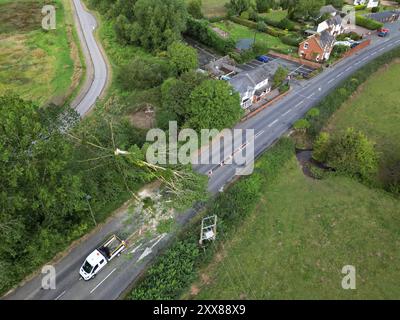 Hereford, Herefordshire, Royaume-Uni – vendredi 23 août 2024 – Météo britannique – vue aérienne d’un drone – la nuit, de forts vents de la tempête Lilian ont abattu un arbre sur la route A465 le long d’Aylestone Hill, dans la ville de Hereford – L’arbre est tombé sur plusieurs lignes électriques coupant l’alimentation des maisons et des entreprises voisines – photo Steven May / Alamy Live News Banque D'Images