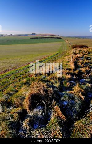 Un matin glacial le long de la route d'une ancienne voie romaine, en direction de l'ouest vers Morgan's Hill sur les Wiltshire Downs. Banque D'Images