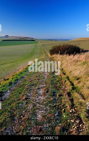 Un matin glacial le long de la route d'une ancienne voie romaine, en direction de l'ouest vers Morgan's Hill sur les Wiltshire Downs. Banque D'Images