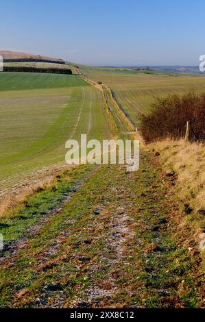 Un matin glacial le long de la route d'une ancienne voie romaine, en direction de l'ouest vers Morgan's Hill sur les Wiltshire Downs. Banque D'Images