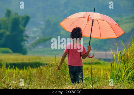 Vietnam, province de Yen Bai, tu le, enfant du groupe ethnique thaïlandais Banque D'Images