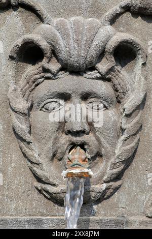 France, Puy de Dôme, Clermont Ferrand, place Olympe-de-Gouges, fontaine d'Amboise (XVIe siècle) en pierre Volvic et style gothique et Renaissance Banque D'Images