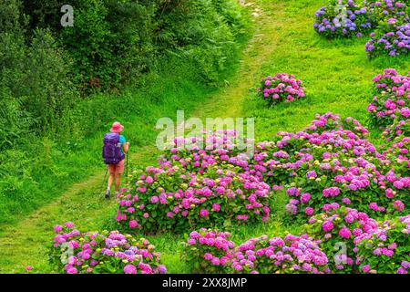 France, côtes d'Armor, environs de Paimpol, randonnée sur le sentier de randonnée GR 34 ou chemin des douaniers Banque D'Images