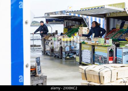 France, Ille-et-Vilaine, Cancale, Port et marché aux huîtres Banque D'Images