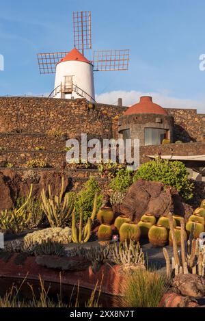 Espagne, Îles Canaries, Île de Lanzarote, Guatiza, le jardin de cactus conçu par Cesar Manrique Banque D'Images