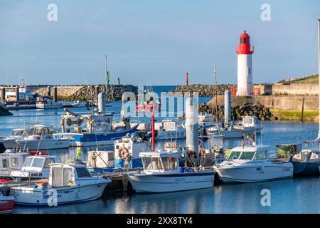 France, Charente maritime, ile d'Oléron, Ile d'Oléron, la Cotinière Banque D'Images