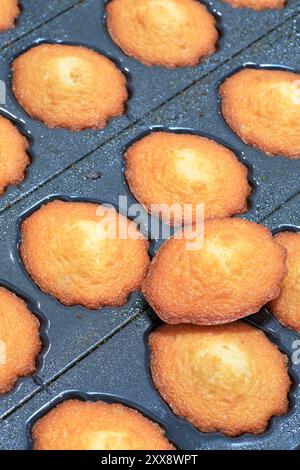 France, Calvados (14), près de Caen, Colombelles, Jeannette Biscuit Factory (fondée en 1850) spécialisée dans les madeleines (petits gâteaux en forme de coquillage ou encore de coquille Saint-Jacques) Banque D'Images