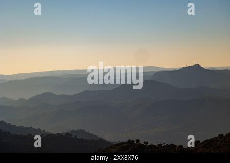 Espagne, Andalousie, Sierra Morena, Sierra de Andújar, parc naturel de la Sierra de Andújar, chêne de Holm ou Yeuse (Quercus ilex), dans la dehesa, brouillard dans les vallées, monument de la Virgen de la Cabeza en arrière-plan Banque D'Images