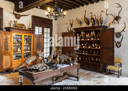 France, Indre, Rosnay, Parc naturel régional de la Brenne, château de Bouchet, salle des trophées Banque D'Images