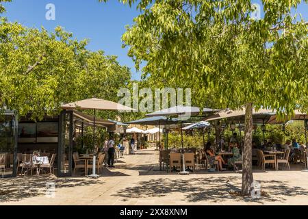 France, Var, Gassin, labellisé les plus Beaux villages de France, restaurant terrasse de la place Dei Barri Banque D'Images