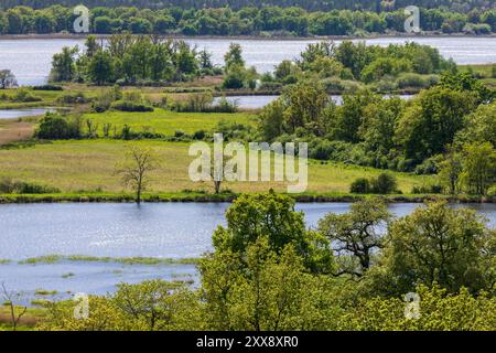 France, Indre, Rosnay, Parc naturel régional de la Brenne, étang de la mer Rouge Banque D'Images