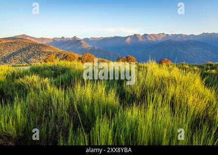 France, Ariège, Vaychis, panorama sur les Pyrénées et ses sommets depuis le signal du Chioula (1507 m) Banque D'Images