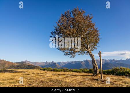 France, Ariège, Vaychis, panorama sur les Pyrénées et ses sommets (pic de Rulhe, Montcalm...) Depuis la table d’orientation du signal du Chioula (1507 m) Banque D'Images