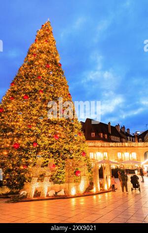 France, Côte d'Or, Dijon, place de la libération, décoration de Noël par Blachere illumination, sapin Banque D'Images
