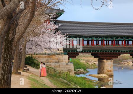 GYEONGJU, CORÉE DU SUD - 26 MARS 2023 : les touristes en vêtements hanbok traditionnels visitent les sites historiques de Gyeongju, Corée du Sud. Silkworm était un importan Banque D'Images