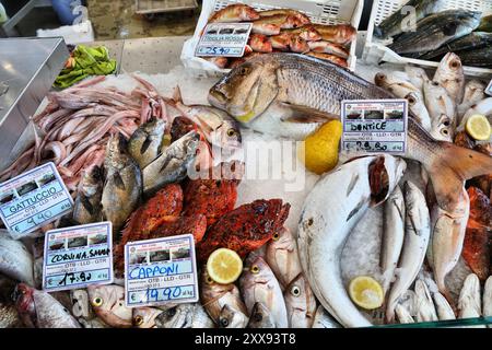 ALGHERO, ITALIE - 29 MAI 2023 : divers poissons au marché aux poissons local dans la ville d'Alghero, île de Sardaigne, Italie. Banque D'Images