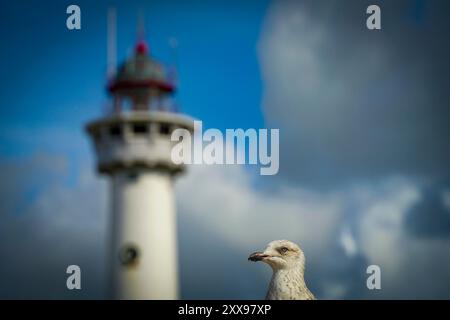 Egmond aan Zee , pays-Bas. Phare de Van Speijk, repère de la ville d'Egmond en Hollande du Nord Banque D'Images