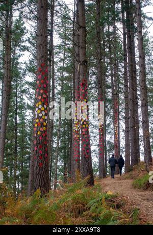 Arbres peints et 'Land art' à Bosque de Oma (forêt d'Oma) près de Kortezubi dans le pays Basque, Espagne Banque D'Images