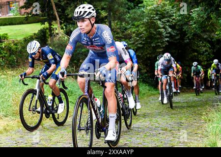 Overijse, Belgique. 23 août 2024. Le belge Senne Leysen d'Alpecin-Deceuninck photographié en action lors de la course cycliste d'une journée 'Druivenkoers', 206, à 3 km de et vers Overijse, vendredi 23 août 2024. BELGA PHOTO MARC GOYVAERTS crédit : Belga News Agency/Alamy Live News Banque D'Images