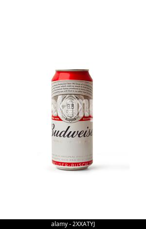 Une canette de bière Budweiser sur un fond blanc avec espace de copie Banque D'Images