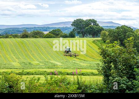 Tournage de l'herbe pour l'ensilage avec un tracteur John Deere 6130R et un râteau à foin Claas Liner 2900 à Irthington, Cumbria, Angleterre, Royaume-Uni Banque D'Images